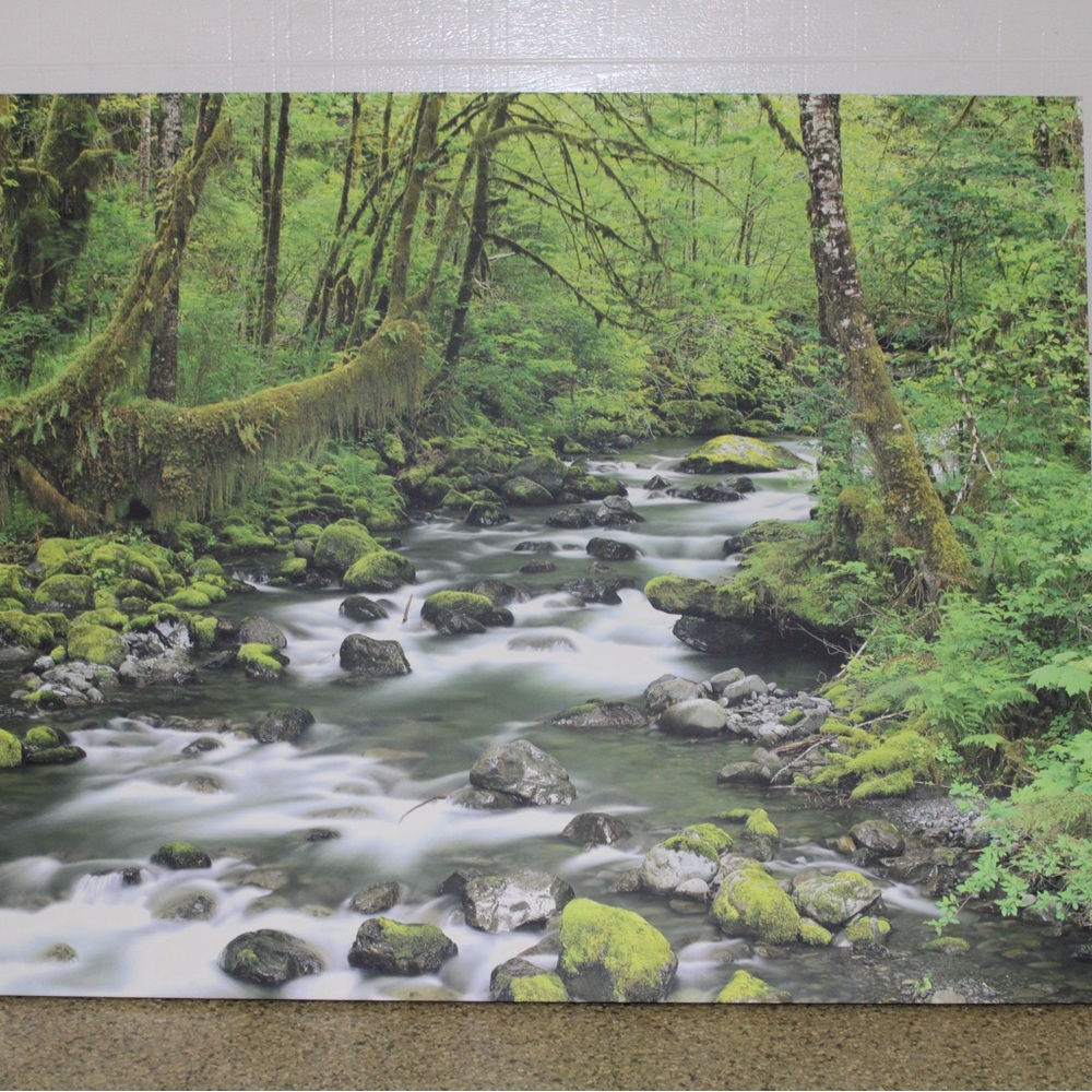 Nature Stream Canvas Art